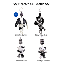 Load image into Gallery viewer, High Contrast Starter Pack