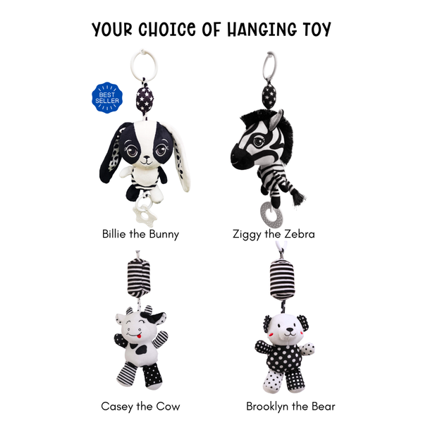 High Contrast Starter Pack