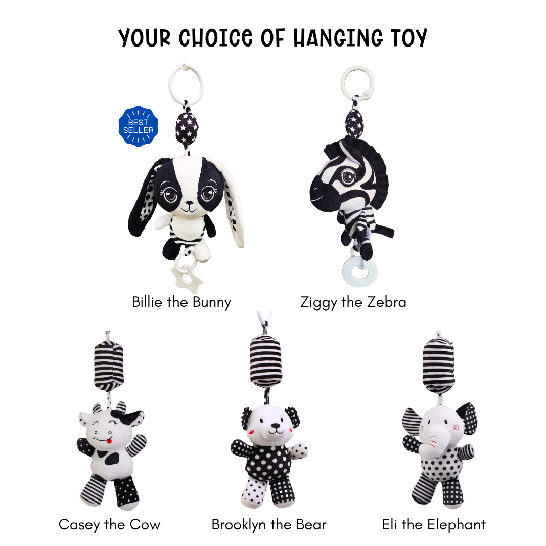 Little Wonder High Contrast Baby Gift Set