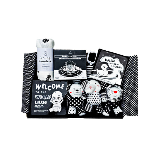 Ultimate Sensory Black and White Baby Gift Set