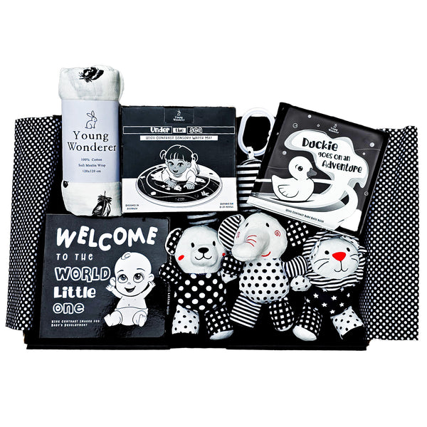 black and white baby gift, black and white baby gift box, black and white baby gift set, high contrast baby gift set, high contrast baby gift, baby shower gift box, baby shower gift, baby shower gift set, baby gifts, baby gift box, newborn gift box, newborn gift set, newborn gift, high contrast gift, baby shower gift idea, new baby gift, black and white baby toys, high contrast baby toys, gender neutral baby gift, unisex baby gift box, unisex baby gift, unisex baby shower gift,