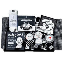 Load image into Gallery viewer, black and white baby gift, black and white baby gift box, black and white baby gift set, high contrast baby gift set, high contrast baby gift, baby shower gift box, baby shower gift, baby shower gift set, baby gifts, baby gift box, newborn gift box, newborn gift set, newborn gift, high contrast gift, baby shower gift idea, new baby gift, black and white baby toys, high contrast baby toys, gender neutral baby gift, unisex baby gift box, unisex baby gift, unisex baby shower gift,
