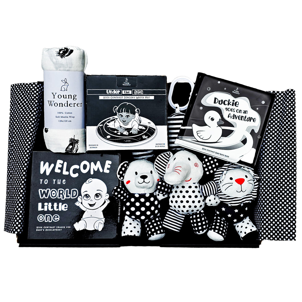 black and white baby gift, black and white baby gift box, black and white baby gift set, high contrast baby gift set, high contrast baby gift, baby shower gift box, baby shower gift, baby shower gift set, baby gifts, baby gift box, newborn gift box, newborn gift set, newborn gift, high contrast gift, baby shower gift idea, new baby gift, black and white baby toys, high contrast baby toys, gender neutral baby gift, unisex baby gift box, unisex baby gift, unisex baby shower gift,