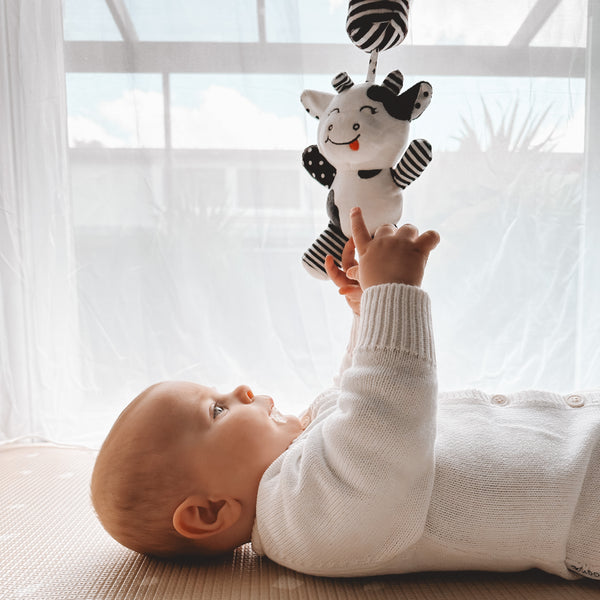 sensory toy, baby sensory, baby toy, Black and white hanging bear toy. high contrast baby toy, young wonderer, young wonderer baby boutique, black and white baby toy, high contrast baby toy, high contrast toy, black and white toy, hanging baby toy, black and white hanging toy, baby gym toy, baby gym hanging toy, high contrast, black and white, pram toy, pram hanging toy